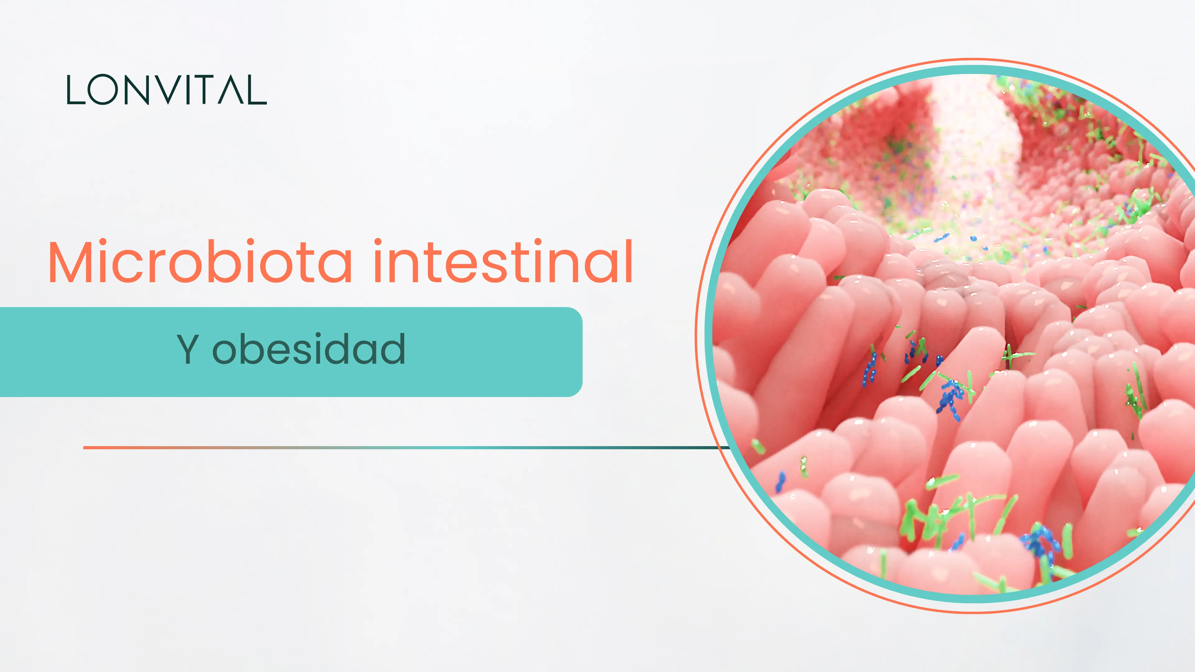 que es la microbiota intestinal y como funciona